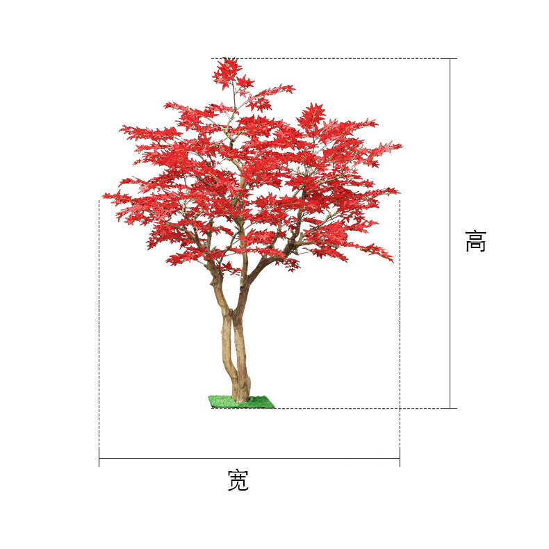 Gardening Hand Tools Japanese - Pohon maple merah dari lantai hingga