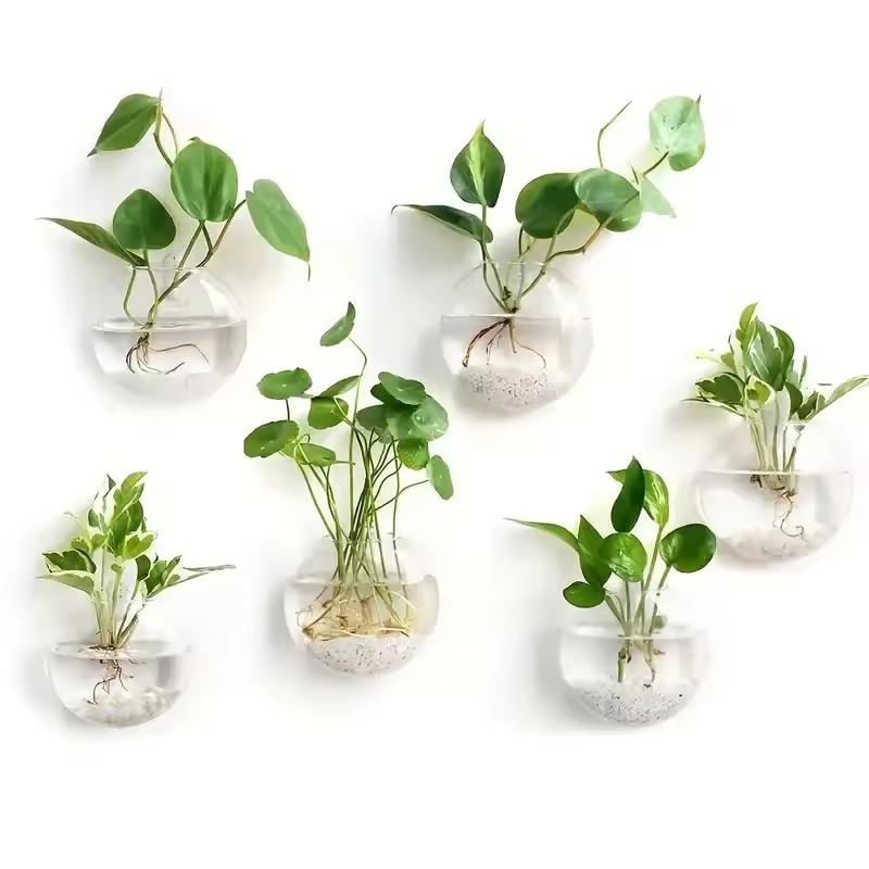 Self-Watering Planter - 2/4/6 Paket Terarium Kaca Gantung Dinding