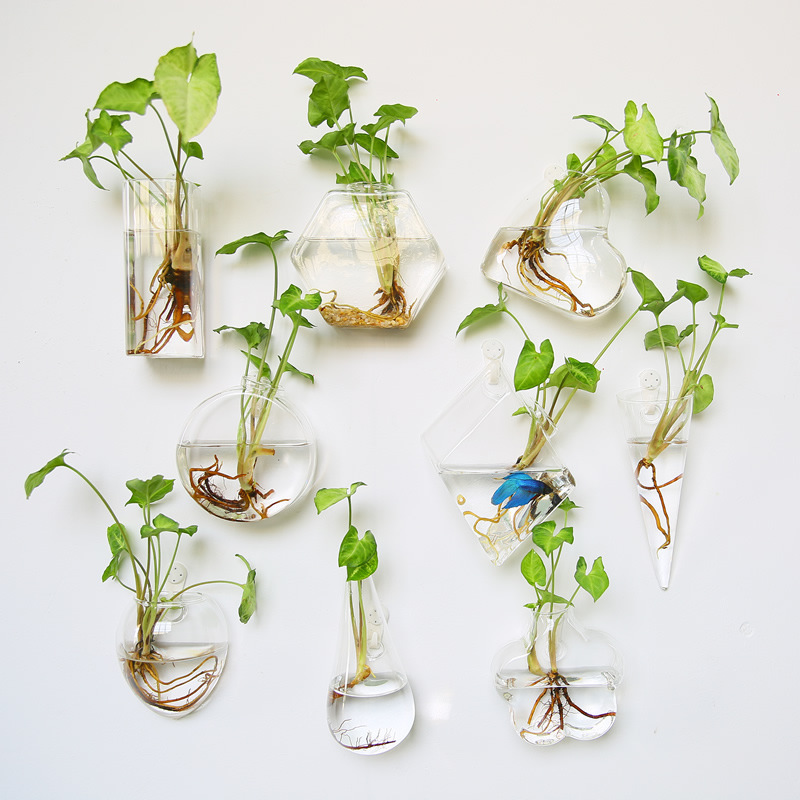 Self-Watering Planter - Terarium Kaca Gantung Dinding - Penanam