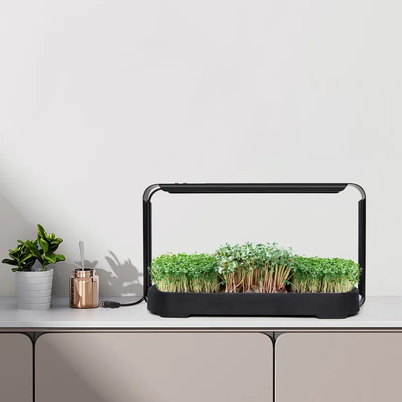Sistem Penanaman Hidroponik Mi - Self-Watering Planter ulasan dan harga