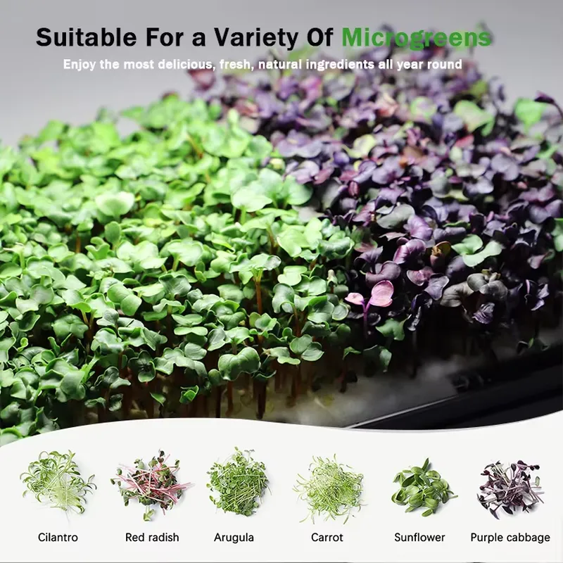 Sistem Penanaman Hidroponik Mi - Self-Watering Planter ulasan dan harga