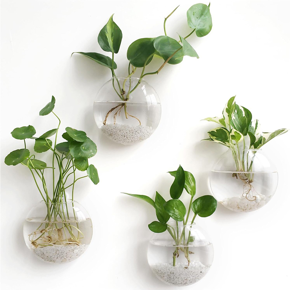 2/4/6 Paket Terarium Kaca Gant - Self-Watering Planter ulasan dan harga