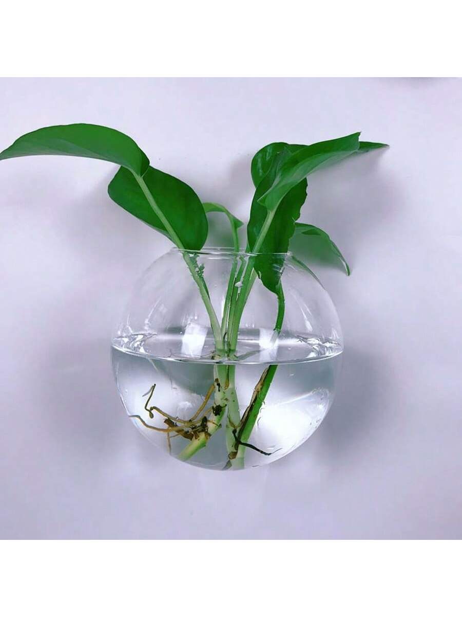 2/4/6 Paket Terarium Kaca Gant - Self-Watering Planter ulasan dan harga