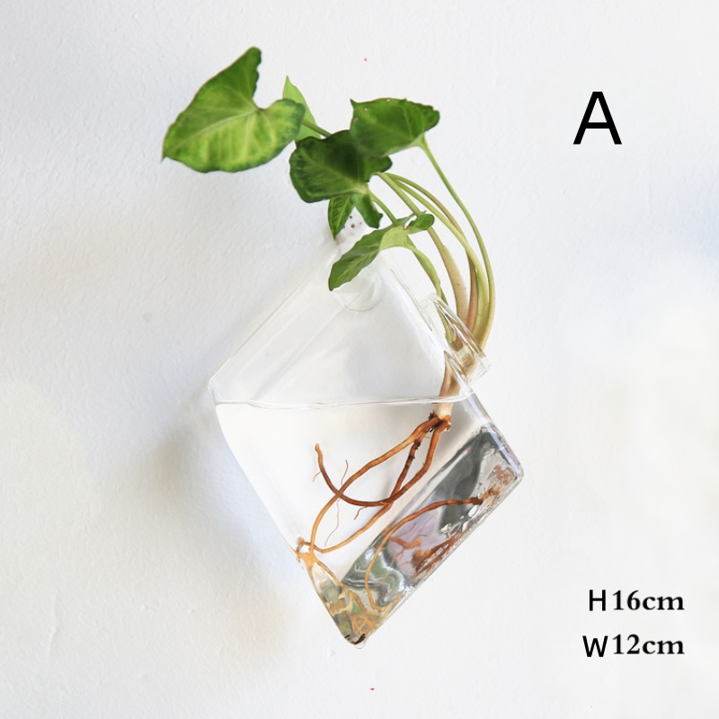 Terarium Kaca Gantung Dinding  - Self-Watering Planter ulasan dan harga