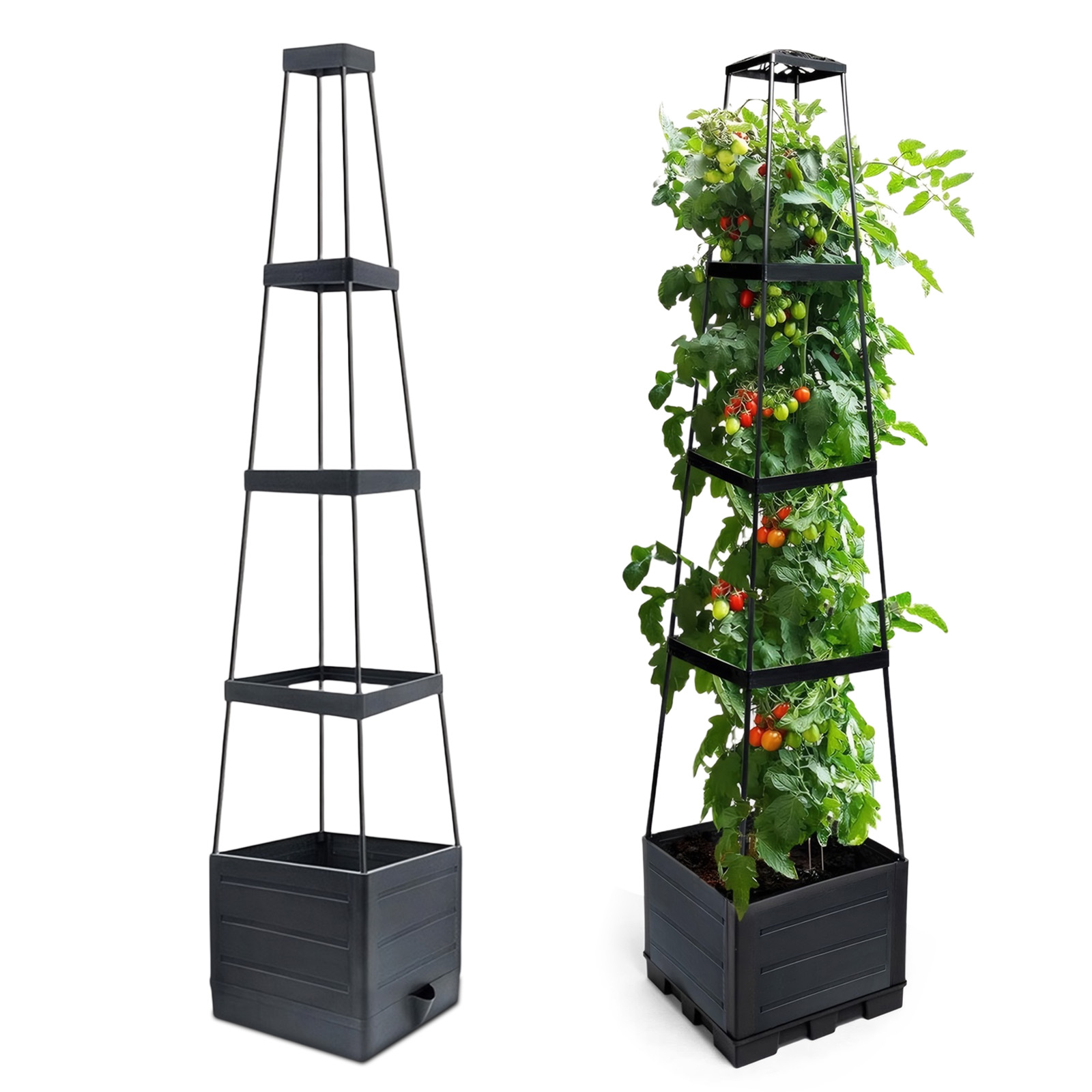 Kotak Penanam Tanaman Bertingk - Self-Watering Planter ulasan dan harga